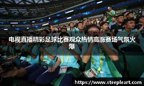 电视直播精彩足球比赛观众热情高涨赛场气氛火爆