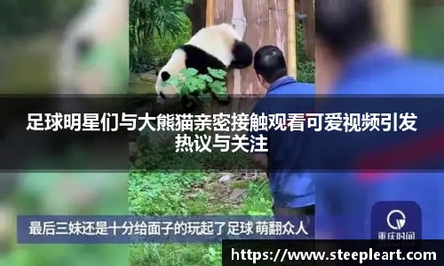 米兰(中国)体育官方网站